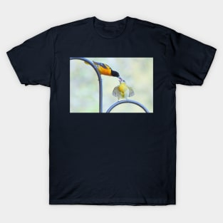 Oriole feeding fledgling #2 T-Shirt